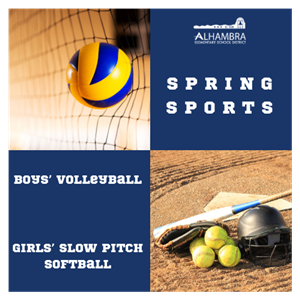 Spring Sports